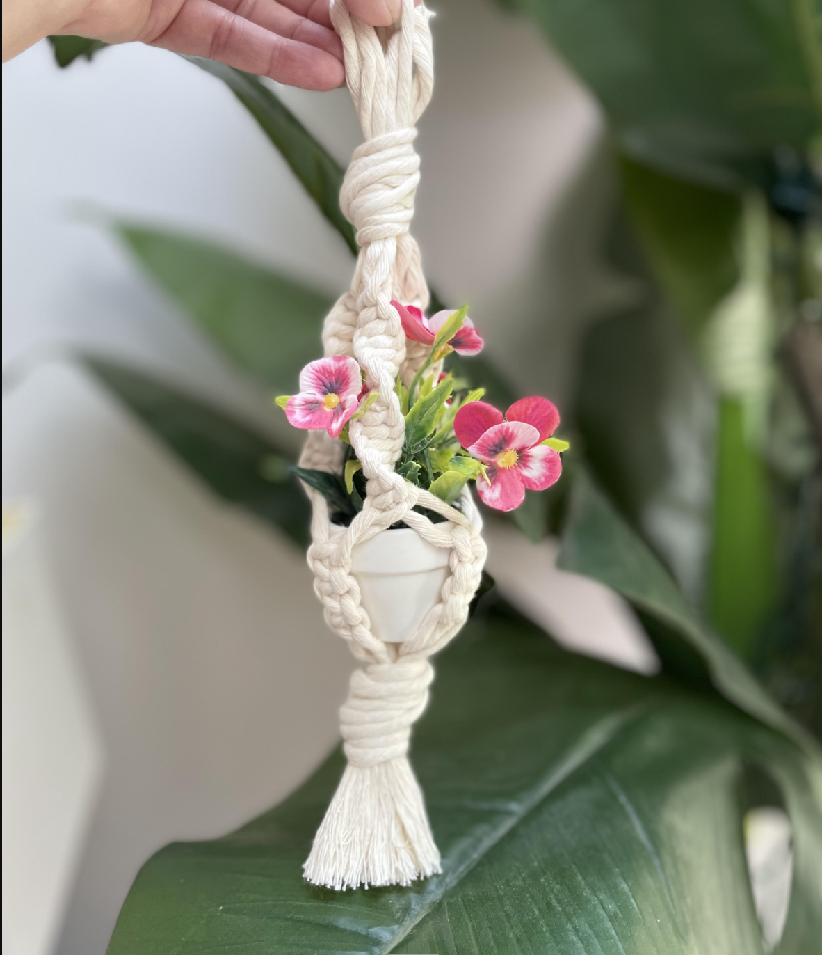Macrame Mini Plant Hangers